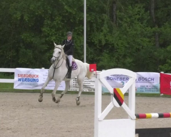 Reitturnier Isny-Rohrdorf 2017