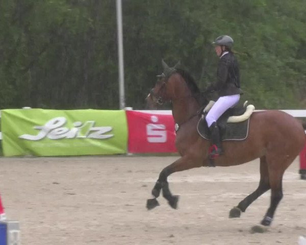 Reitturnier Isny-Rohrdorf 2017