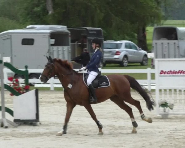 Reitturnier Isny-Rohrdorf 2017