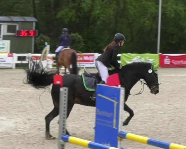 Reitturnier Isny-Rohrdorf 2017
