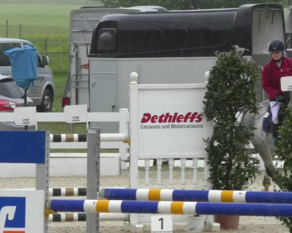 Reitturnier Isny-Rohrdorf 2017