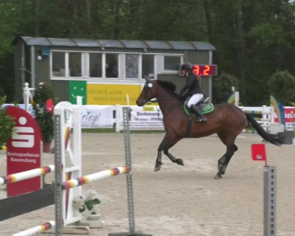Reitturnier Isny-Rohrdorf 2017