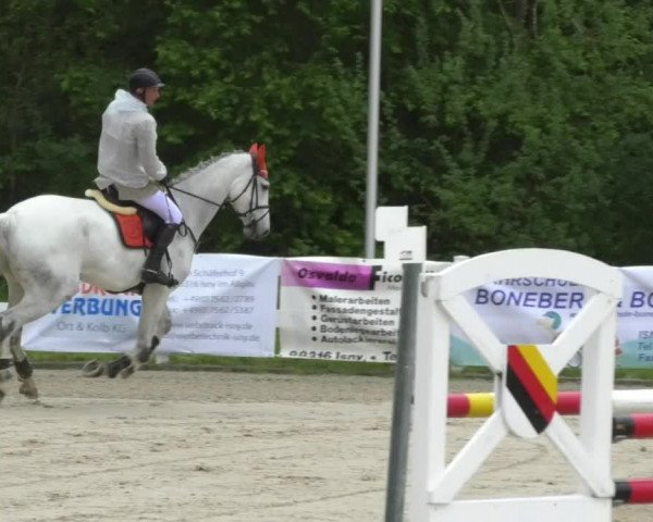 Reitturnier Isny-Rohrdorf 2017