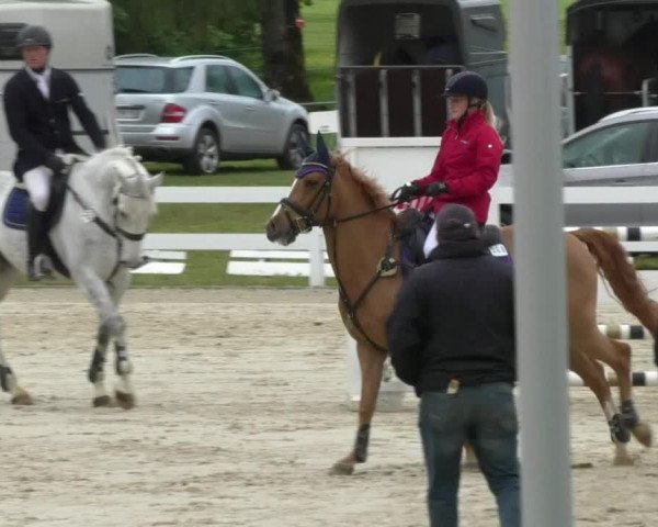 Reitturnier Isny-Rohrdorf 2017