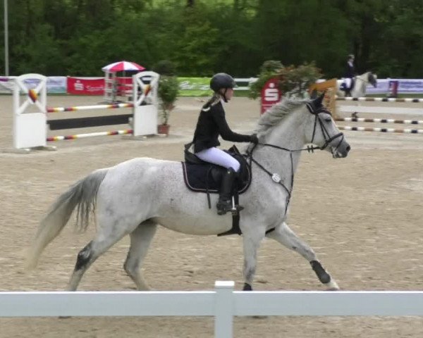 Reitturnier Isny-Rohrdorf 2017