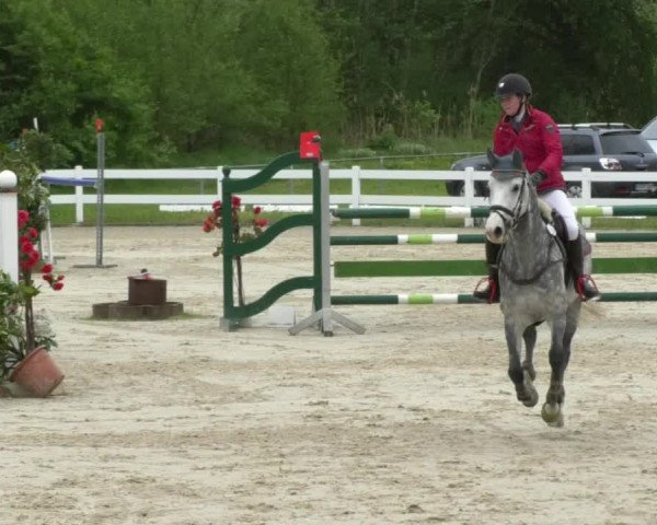Reitturnier Isny-Rohrdorf 2017