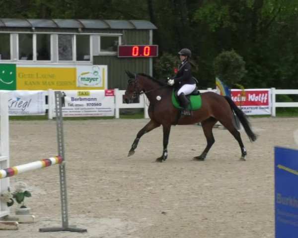 Reitturnier Isny-Rohrdorf 2017