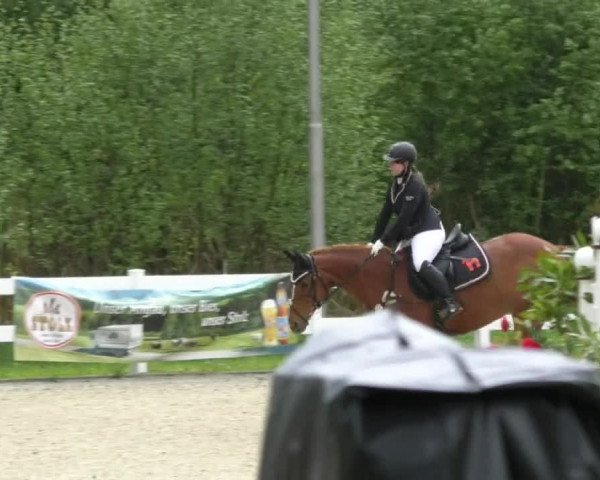 Reitturnier Isny-Rohrdorf 2017