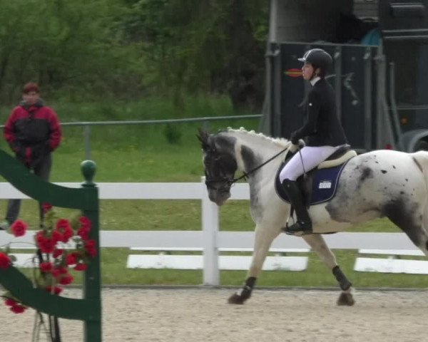 Reitturnier Isny-Rohrdorf 2017