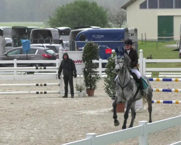 Reitturnier Isny-Rohrdorf 2017