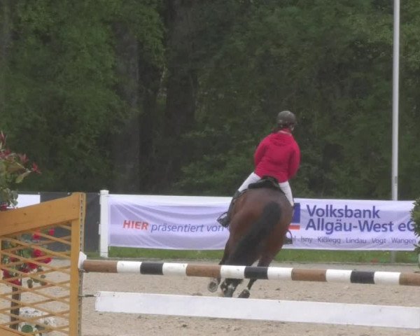 Reitturnier Isny-Rohrdorf 2017