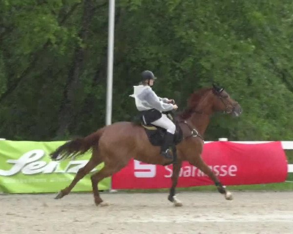 Reitturnier Isny-Rohrdorf 2017