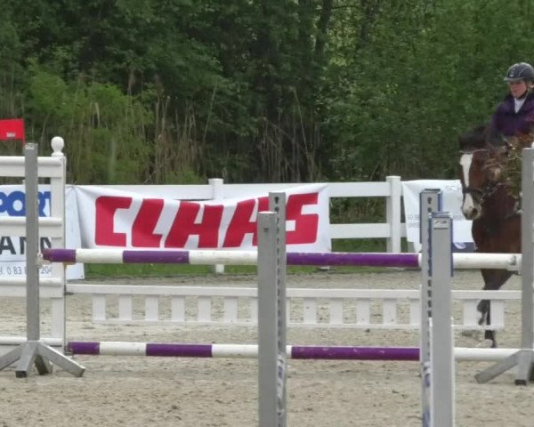 Reitturnier Isny-Rohrdorf 2017