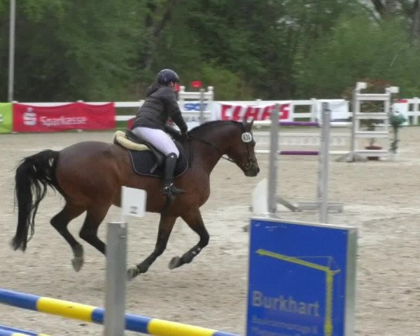 Reitturnier Isny-Rohrdorf 2017