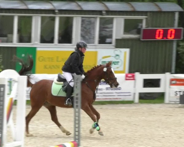 Reitturnier Isny-Rohrdorf 2017