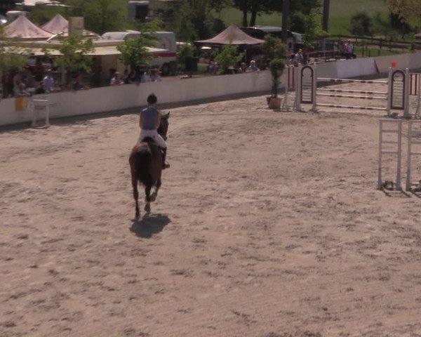 Reitturnier Oberfrauendorf 2017