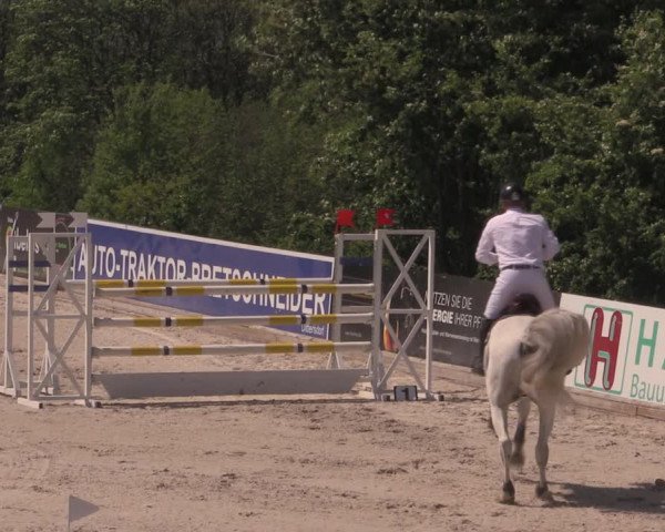 Reitturnier Oberfrauendorf 2017