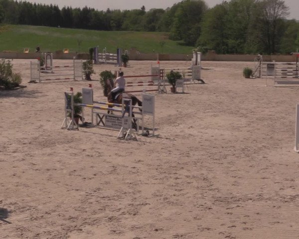 Reitturnier Oberfrauendorf 2017