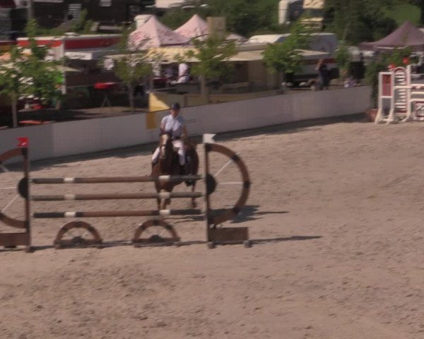 Reitturnier Oberfrauendorf 2017
