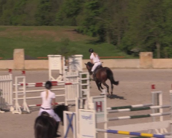 Reitturnier Oberfrauendorf 2017