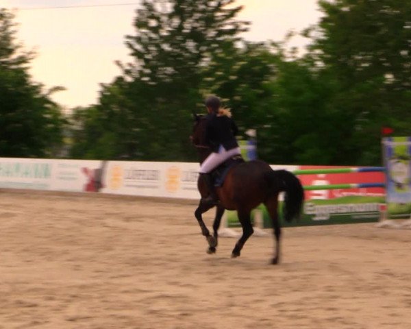 Reitturnier Oberfrauendorf 2017