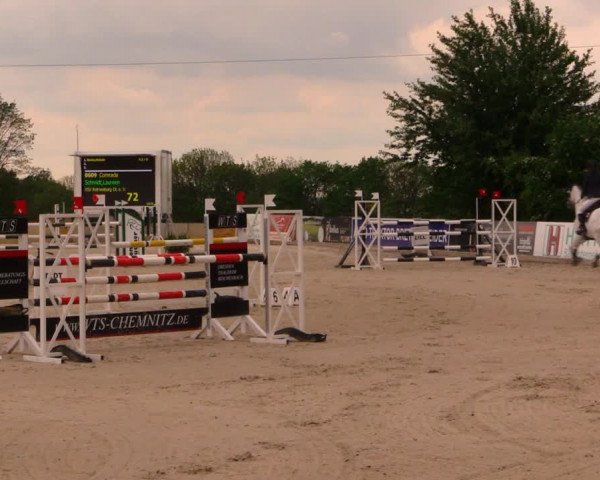 Reitturnier Oberfrauendorf 2017