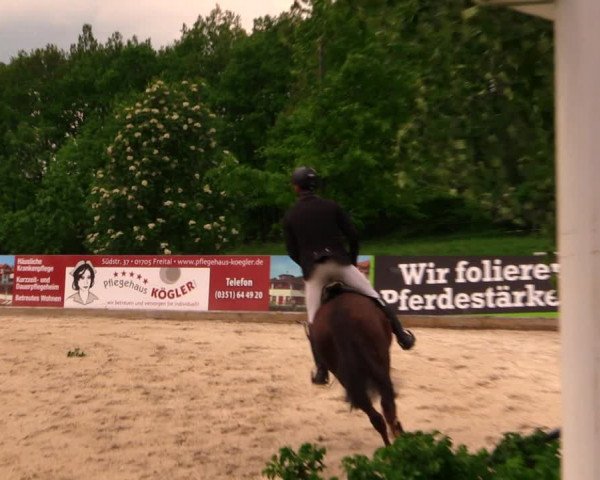 Reitturnier Oberfrauendorf 2017