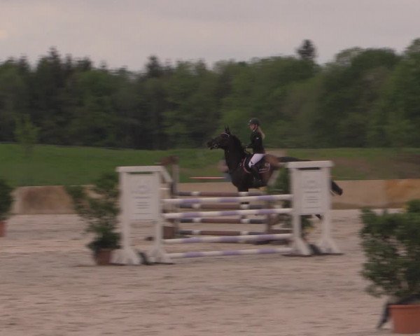 Reitturnier Oberfrauendorf 2017