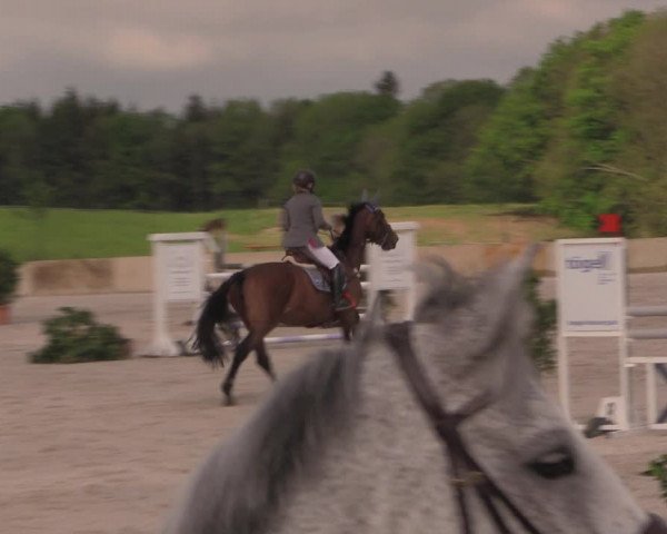 Reitturnier Oberfrauendorf 2017