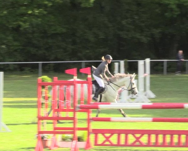 Reitturnier Stukenbrock 2017