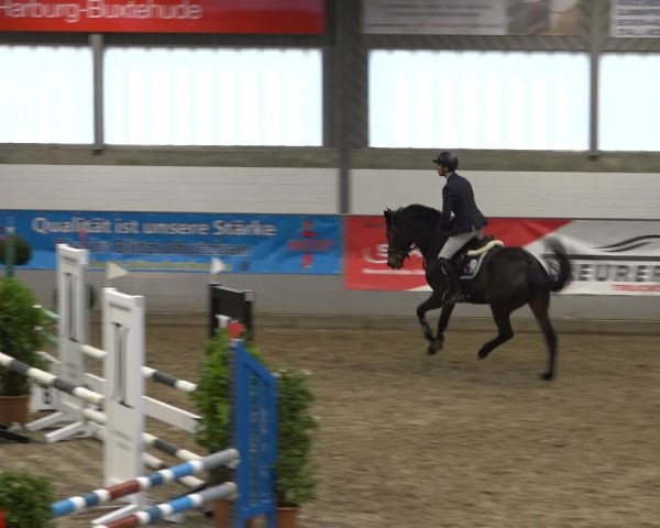 Reitturnier Luhmühlen 2021