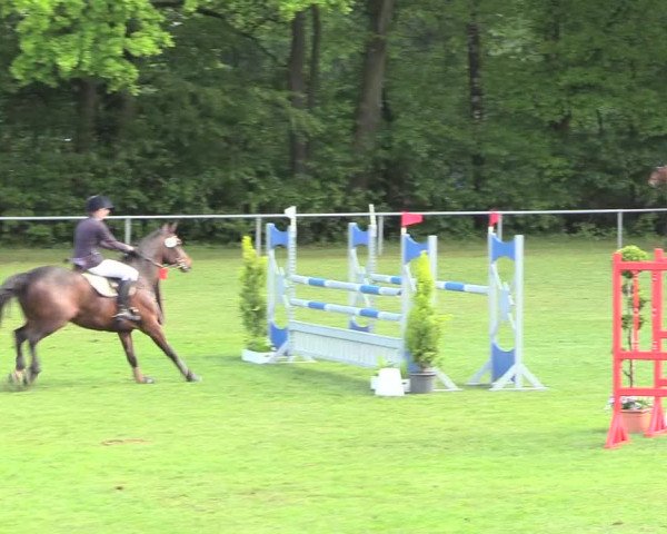 Reitturnier Stukenbrock 2017