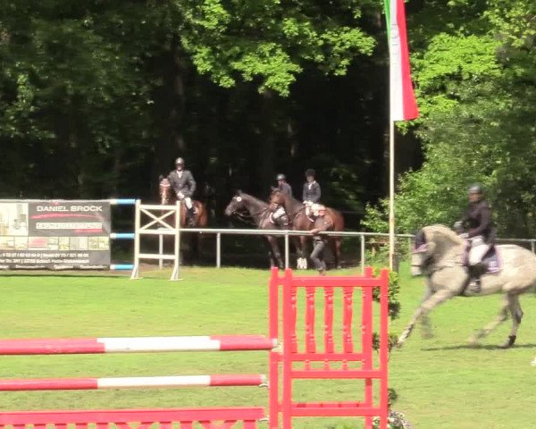 Reitturnier Stukenbrock 2017