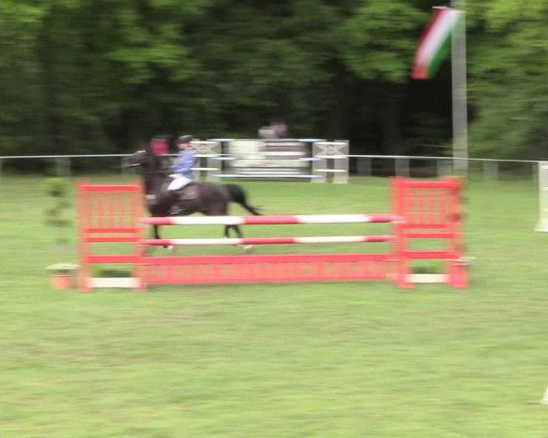 Reitturnier Stukenbrock 2017