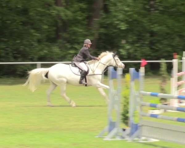 Reitturnier Stukenbrock 2017