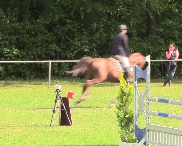 Reitturnier Stukenbrock 2017