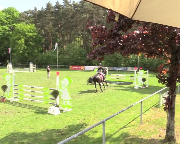 Reitturnier Stukenbrock 2017