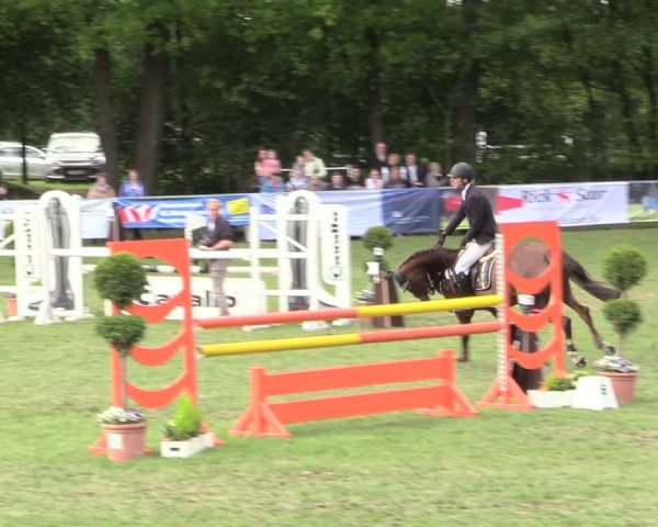 Reitturnier Stukenbrock 2017