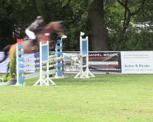 Reitturnier Stukenbrock 2017