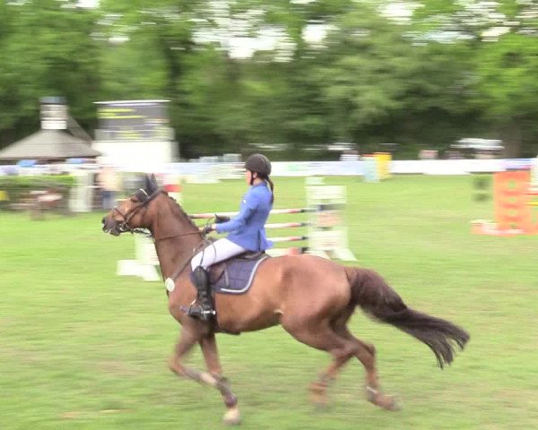 Reitturnier Stukenbrock 2017