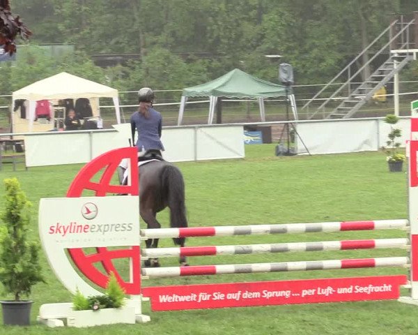 Reitturnier Stukenbrock 2017