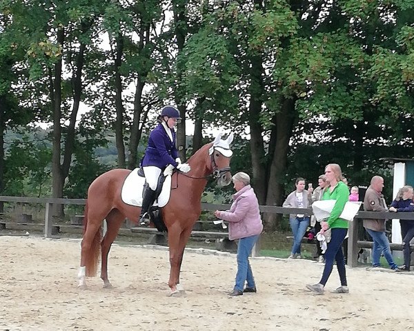 dressage horse Fia-Mareen (Westphalian, 2010, from Fürst Fugger)