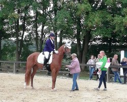 dressage horse Fia-Mareen (Westphalian, 2010, from Fürst Fugger)