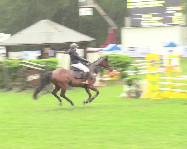 Reitturnier Stukenbrock 2017
