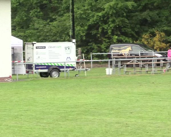 Reitturnier Stukenbrock 2017