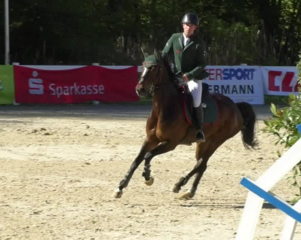 Reitturnier Isny-Rohrdorf 2017