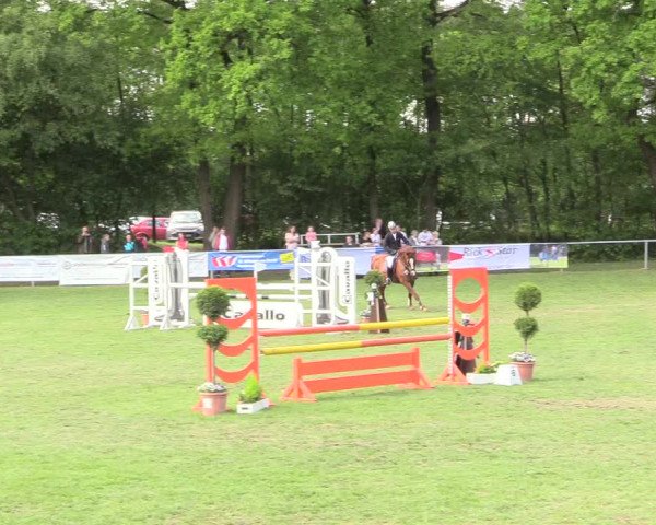 Reitturnier Stukenbrock 2017