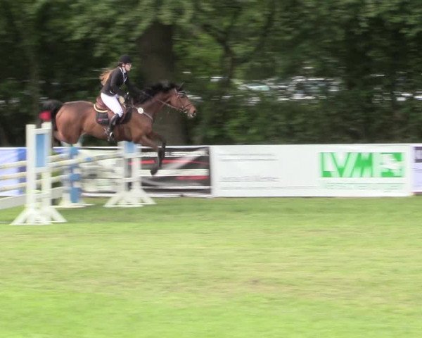 Reitturnier Stukenbrock 2017