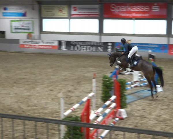 Reitturnier Luhmühlen 2021