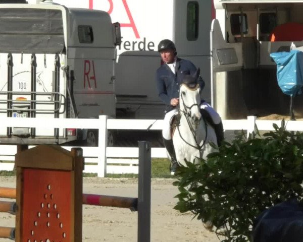 Reitturnier Isny-Rohrdorf 2017